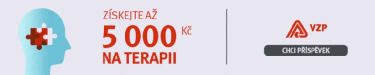 Příspěvek VZP lze využít i na online terapie